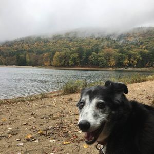 Meet your Posher, Kacie